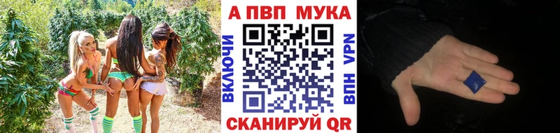 APVP СК  наркотики  ОМГ ОМГ вход  Кола 