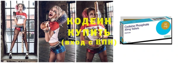 таблы Ельня