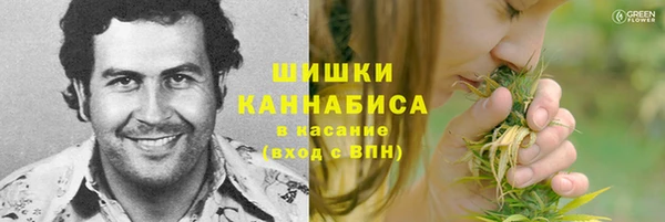 таблы Ельня