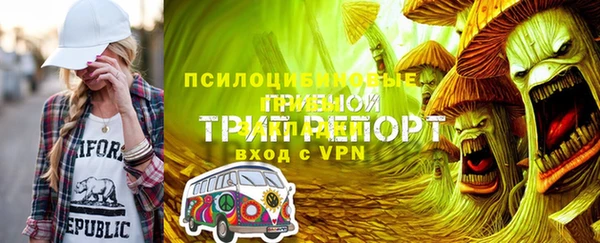 таблы Ельня