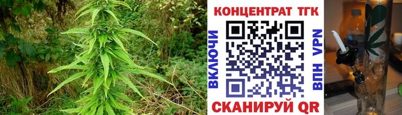 ТГК THC oil  Кола 