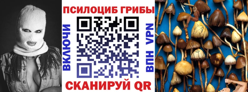Галлюциногенные грибы Cubensis  Кола 